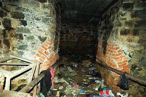 Selalunya serangga boleh memasuki apartmen dari ruang bawah tanah rumah (kutu bawah tanah)