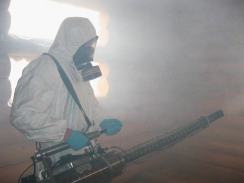 Εξετάστε τα χαρακτηριστικά της διαδικασίας για την καταστροφή κοριών με χρήση καυτής ομίχλης και πόσο αποτελεσματική είναι αυτή η μέθοδος επεξεργασίας δωματίων.