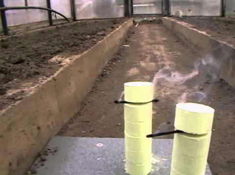 Bombele de fum pot fi folosite cu mare succes pentru a controla insectele pe o suprafață mare.