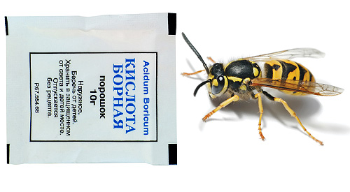 Acidul boric este toxic nu numai pentru gândaci, ci și pentru viespi, așa că pe baza acestuia pot fi preparate momeli otrăvitoare.