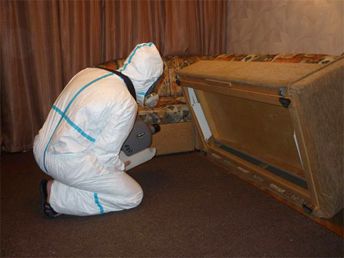 Op de foto behandelt een specialist in ongediertebestrijding het huis tegen insecten met behulp van een koude mistgenerator.