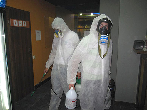 Fotografia prezintă exterminatori care fac curățenie în incintă.