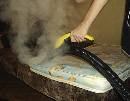 Vid en ångtemperatur på cirka 100 grader kommer insekterna att dö även i djupa veck och skador på madrassen.