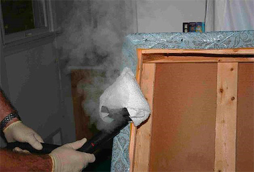 Ένα παράδειγμα επεξεργασίας των ραφών ενός καναπέ μολυσμένου από κοριούς με ζεστό ατμό