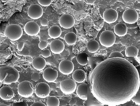 Insecticide microcapsules onder elektronenmicroscoop
