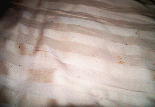 Noda darah kecil di atas katil mungkin menunjukkan kehadiran pepijat katil di dalam rumah.