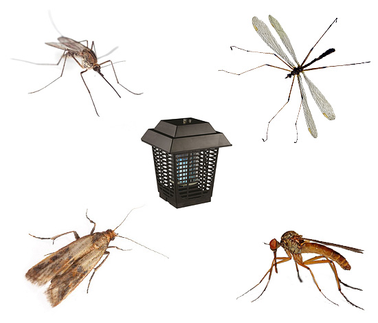 Vi väljer den optimala modellen av utrotare av insekter, både utomhus och inne i huset...