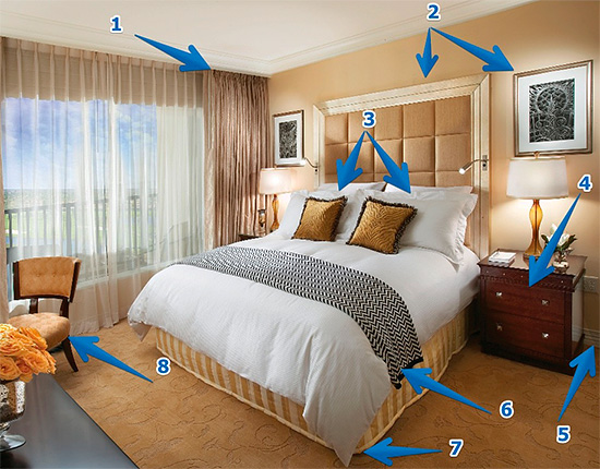 De afbeelding toont de mogelijke locatie van bedwantsennesten in het appartement, die eerst moeten worden verwerkt.