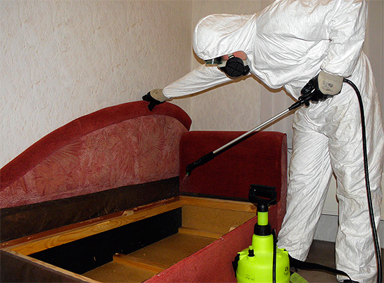 Onder de preparaten die door sanitaire en epidemiologische stations worden gebruikt om huizen tegen insecten te behandelen, zijn er zowel geurstoffen als preparaten zonder sterke geur.