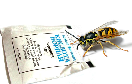 Axit boric không chỉ có tác dụng chống gián mà còn chống lại ong bắp cày.