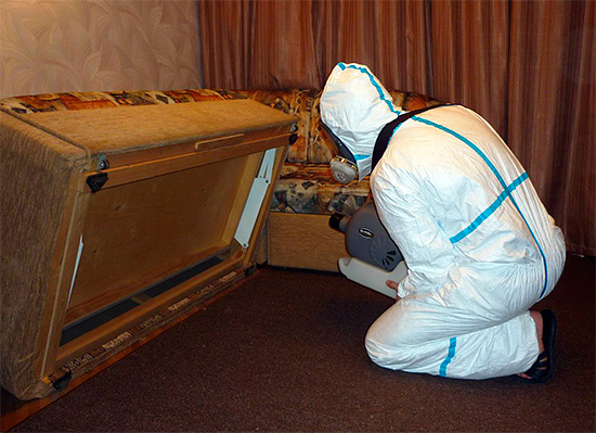 차가운 안개 발생기를 사용하여 바퀴벌레에서 방을 처리하는 예.