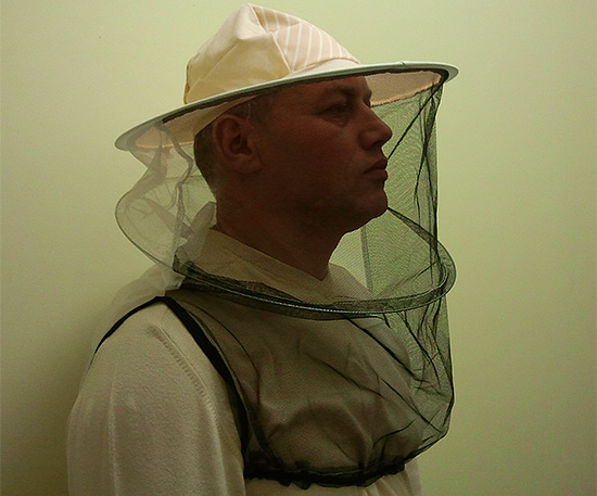 Untuk mengelakkan gigitan, anda harus menggunakan topeng penjaga lebah khas.