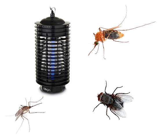 V dnešní době získávají na oblibě ultrafialové lampy odpuzující hmyz (také nazývané zabijáci hmyzu) – jsou ale skutečně tak účinné, jak o nich spotřebitelé tvrdí? Pojďme na to...