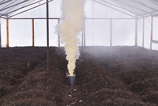 Příklad použití speciální kouřové bomby pro likvidaci hmyzu v místnosti (skleníku).
