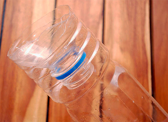 Bahagian atas botol yang dipotong dimasukkan ke bahagian bawah dengan leher ke bawah.