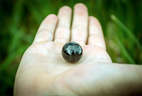 Fotografia arată un păduchi tropical ghemuit pe o mână într-o minge.