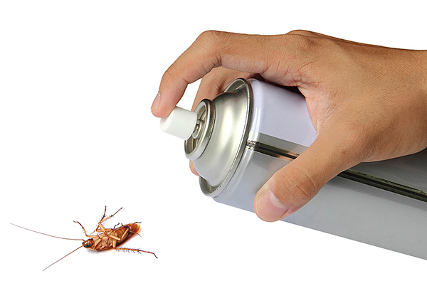 การเยียวยารักษาแมลงสาบและแมลงที่คลานและบินได้หลายอย่างมีสารไพรีทรอยด์เป็นส่วนประกอบออกฤทธิ์