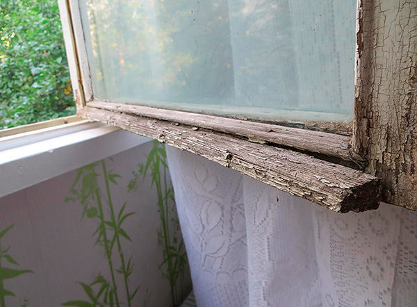 Rệp có thể xâm nhập vào căn hộ dọc theo bức tường bên ngoài của tòa nhà thông qua các vết nứt trên cửa sổ cũ.