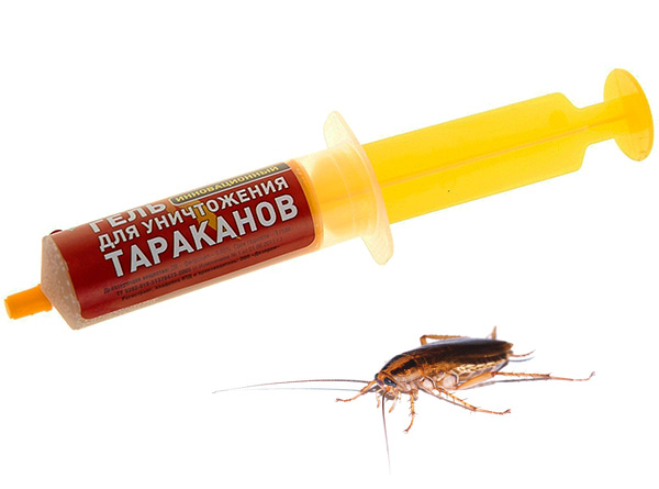 Cât de eficienți sunt repelenții pentru gândaci în seringi? Să ne dăm seama...