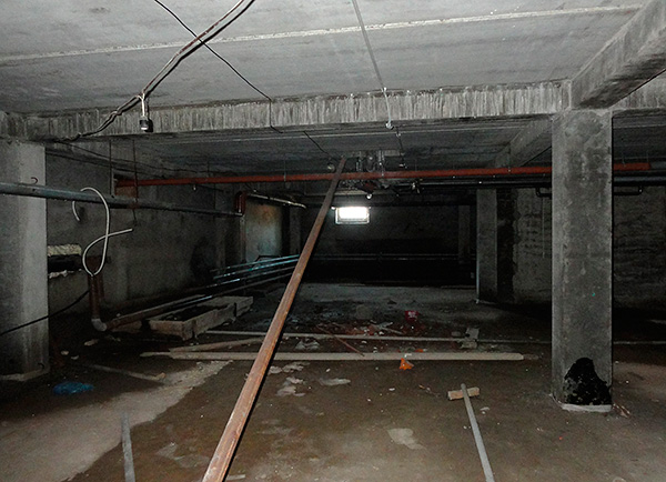 Pada musim panas, kutu sering tinggal di ruang bawah tanah bangunan pangsapuri.