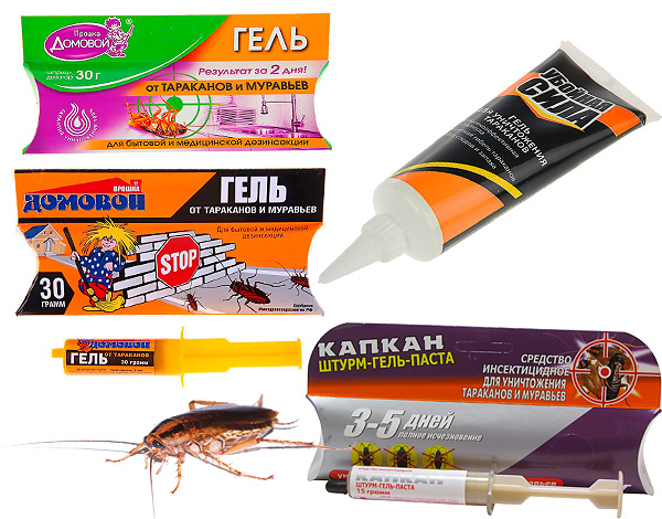 Considera le proprietà e le sfumature dell'utilizzo di alcuni popolari gel per scarafaggi (Domovoy-Proshka, Kapkan, Killer e alcuni altri ...)