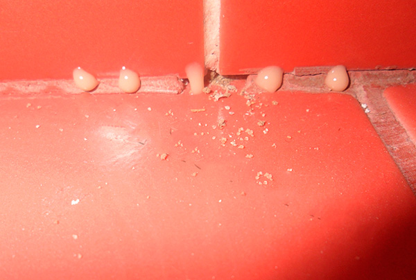 La foto mostra gocce di gel di scarafaggi applicate sotto forma di una linea tratteggiata: ciò consente di salvare il prodotto senza ridurne l'efficacia.