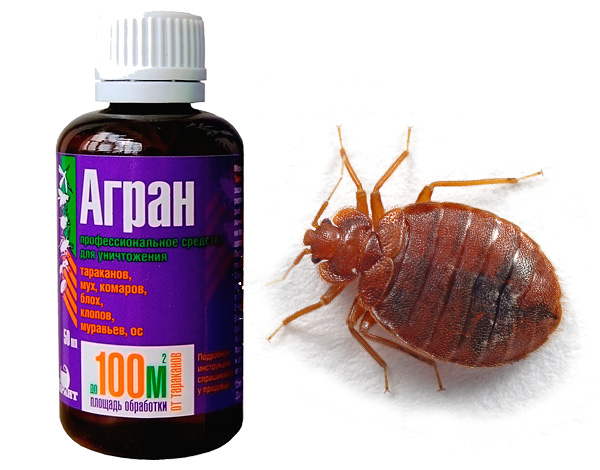Is het insectendodende preparaat Agran echt in staat om bedwantsen effectief te vernietigen? ..