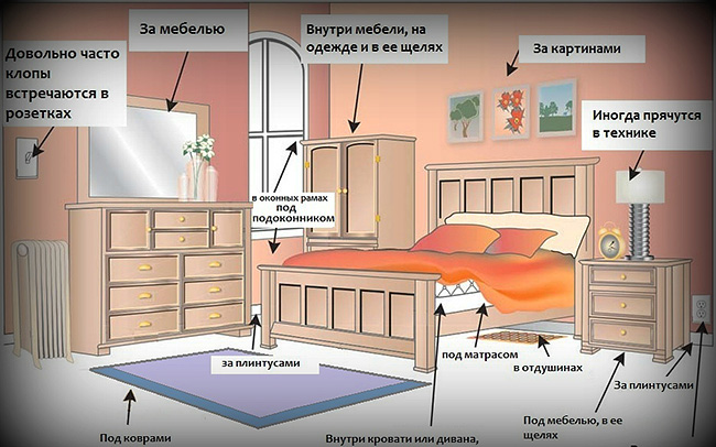De afbeelding toont de plaatsen in de kamer, waarvan de verwerking speciale aandacht moet krijgen (meestal kun je nesten van bedwantsen vinden).