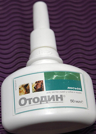 Λοσιόν καθαρισμού αυτιών Otodin για σκύλους και γάτες