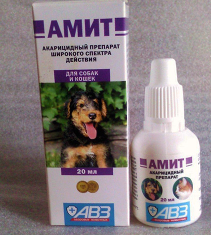 Ωτοασπίδες Amit για σκύλους και γάτες