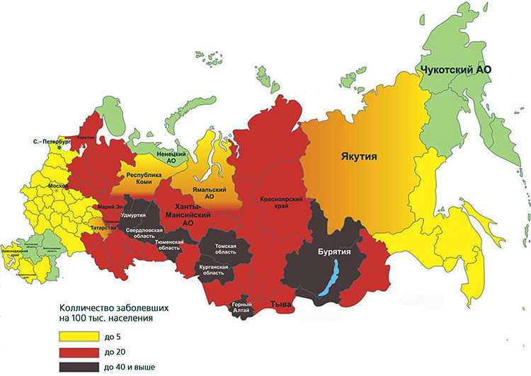 그림에서 갈색과 빨간색은 진드기 매개 뇌염에 가장 위험한 러시아 연방 지역을 나타냅니다.