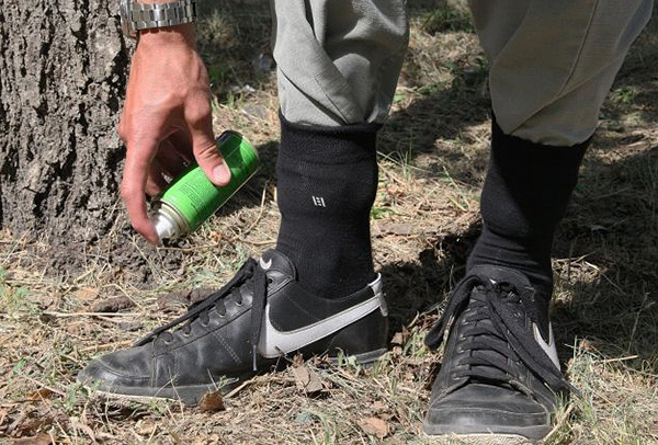 Aflam care repulsiv este cel mai capabil să protejeze o persoană de mușcăturile de căpușe în natură...