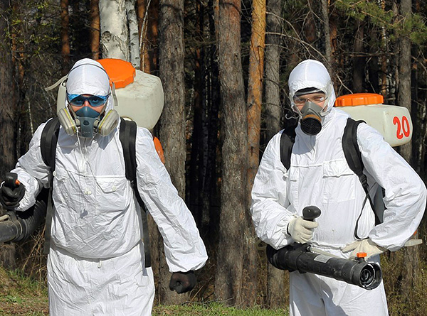 Specialisti nella decontaminazione del sito