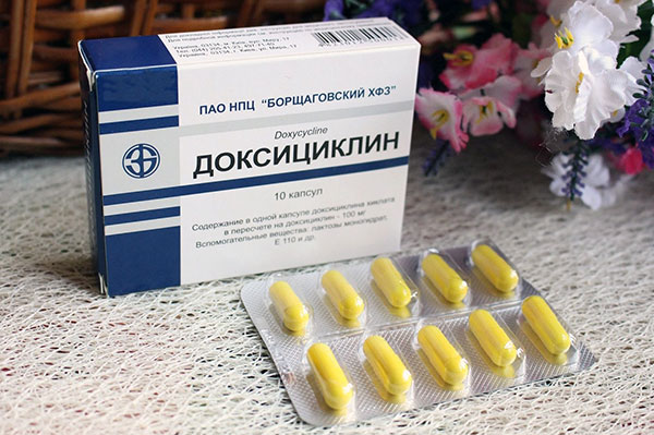 doxycycline dùng để chữa bệnh borreliosis 