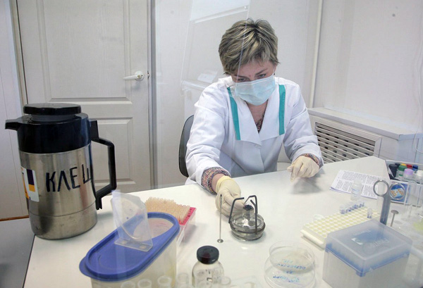 Kiểm tra một con ve trong phòng thí nghiệm để tìm bệnh viêm não