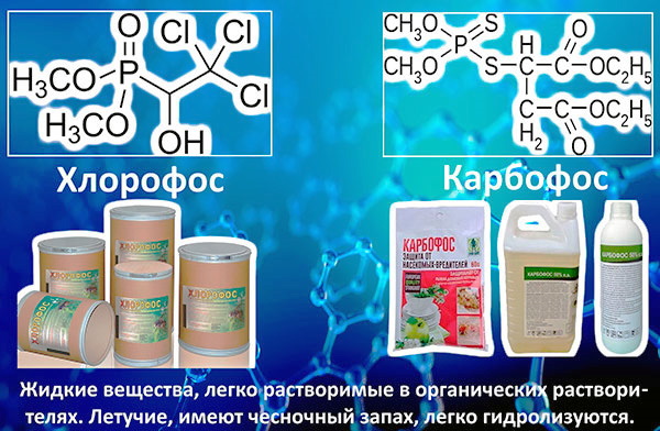 Sebatian organophosphorus (OPs)